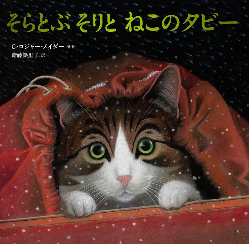 そらとぶそりとねこのタビーの詳細を見る