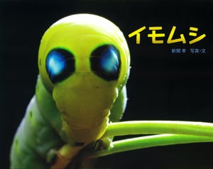 イモムシ (ふしぎいっぱい写真絵本)