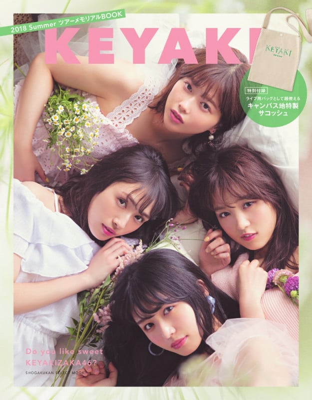 KEYAKI 2018 Summer ツアーメモリアルBOOK (SHOGAKUKAN SELECT MOOK)の詳細を見る