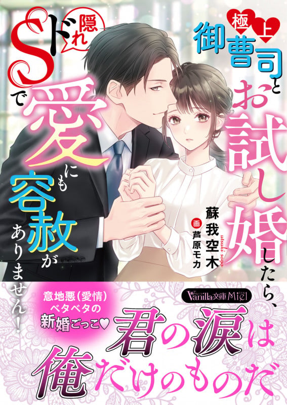 極上御曹司とお試し婚したら、隠れドSで愛にも容赦がありません! (ヴァニラ文庫 VBL362)