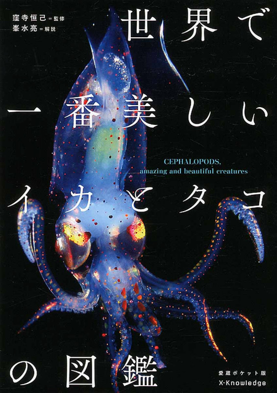 世界で一番美しいイカとタコの図鑑(愛蔵ポケット版)