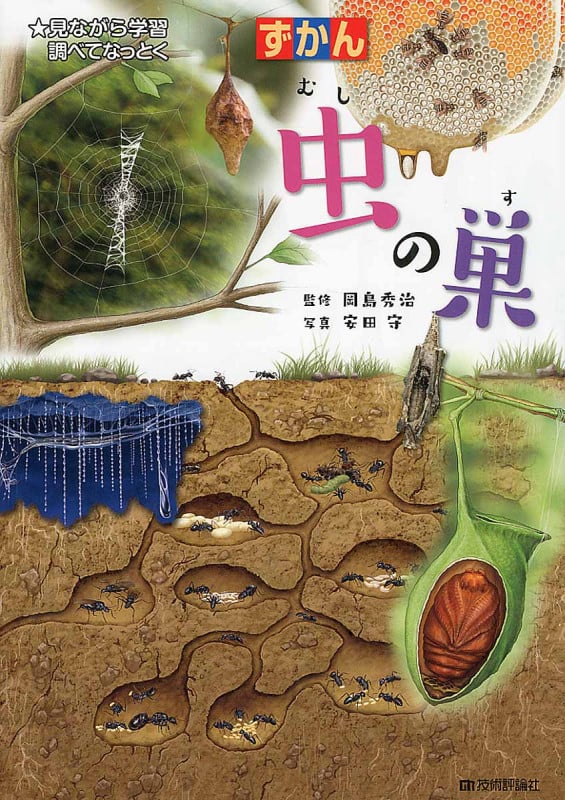 ずかん 虫の巣 見ながら学習調べてなっとく