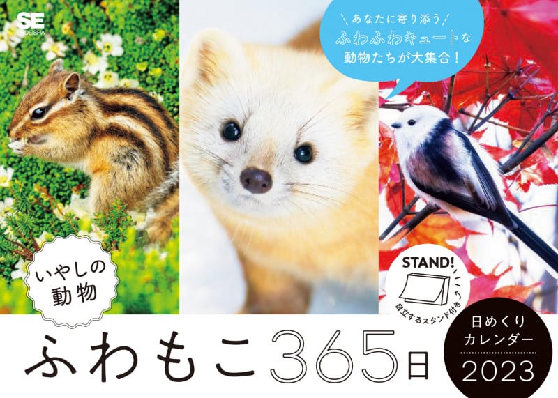 ふわもこ365日 いやしの動物日めくりカレンダー 2023 (翔泳社カレンダー)
