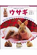 ウサギ (小動物ビギナーズガイド)