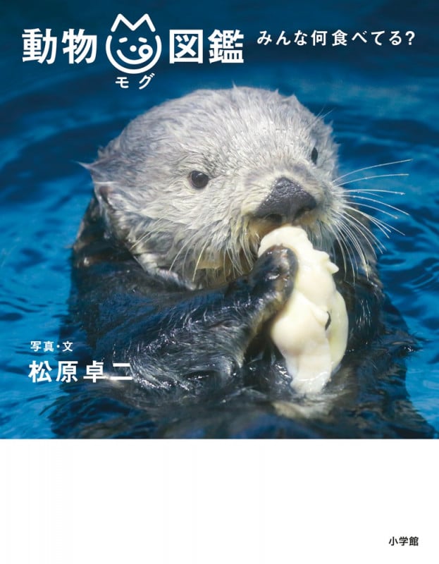 動物mg図鑑 みんな何食べてる?