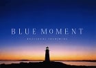BLUE MOMENT
