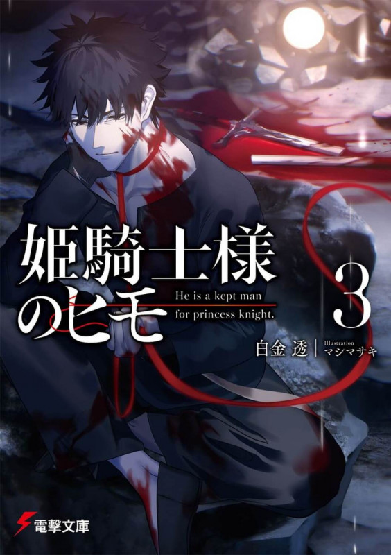 姫騎士様のヒモ3 (3) (電撃文庫)