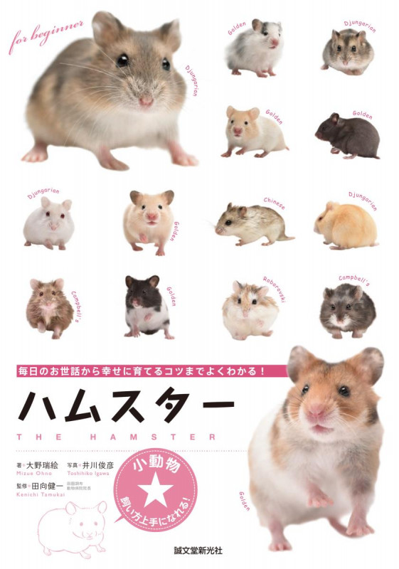 ハムスター 毎日のお世話から幸せに育てるコツまでよくわかる! (小動物☆飼い方上手になれる!)