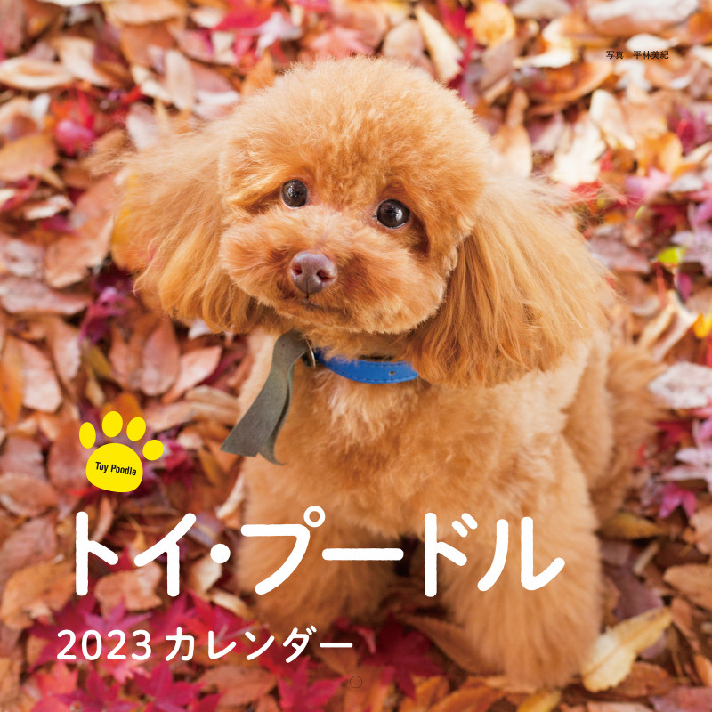 2023年カレンダー トイ・プードル (誠文堂新光社カレンダー)