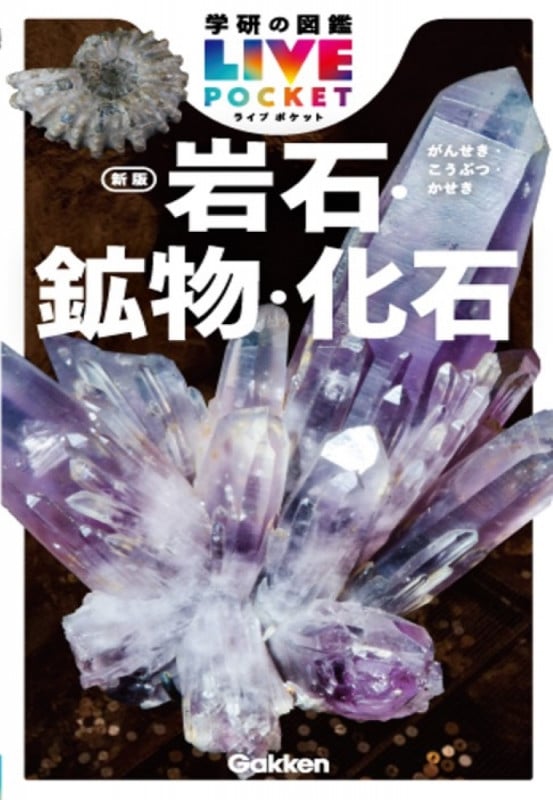 岩石・鉱物・化石 新版 (学研の図鑑LIVE(ライブ)ポケット 2)