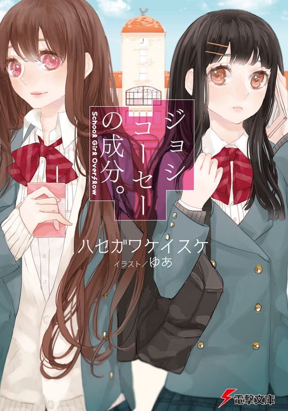 ジョシコーセーの成分。 SCHOOL GIRL OVERFLOW (電撃文庫)