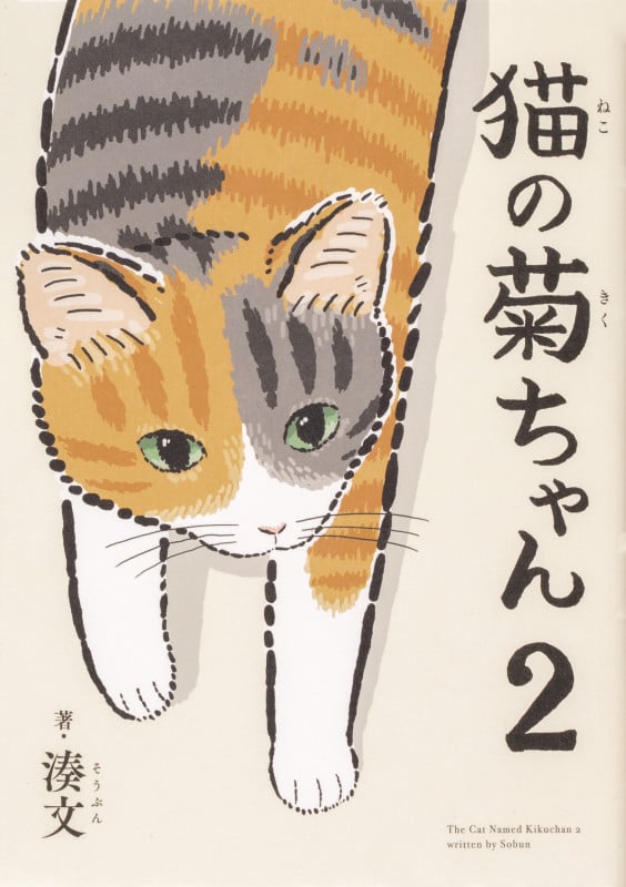 猫の菊ちゃん 2