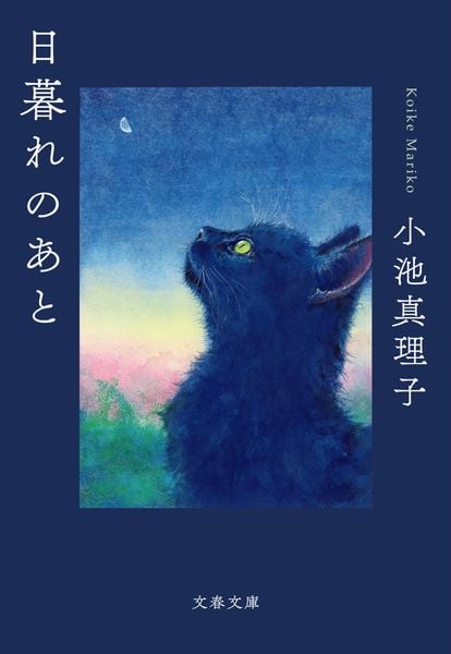 日暮れのあと (文春文庫)