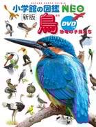 小学館の図鑑NEO〔新版〕 鳥 DVDつき DVDつき 恐竜の子孫たち (小学館の図鑑NEO)
