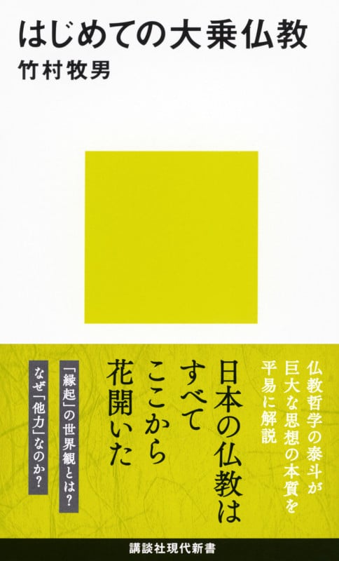 はじめての大乗仏教 (講談社現代新書)