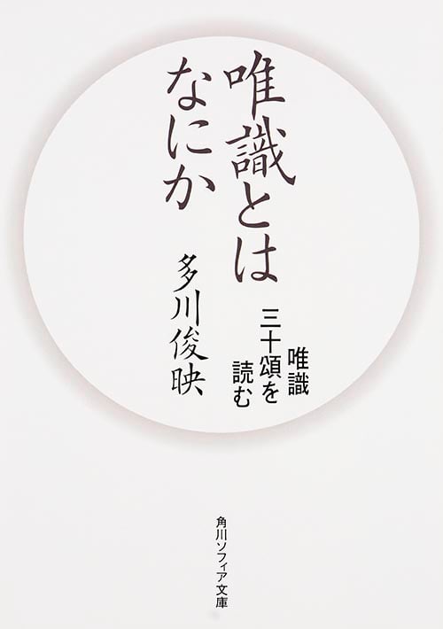 唯識とはなにか 唯識三十頌を読む (角川ソフィア文庫)