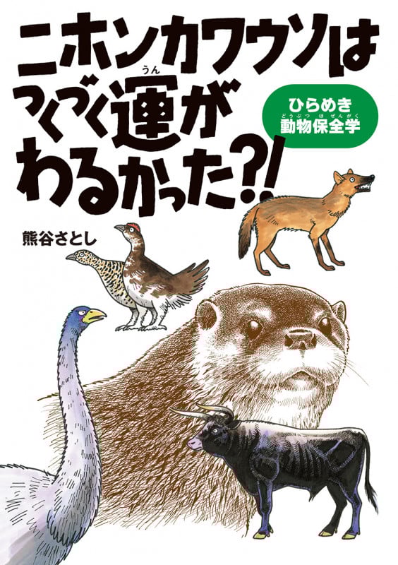 ニホンカワウソはつくづく運がわるかった? ひらめき動物保全学