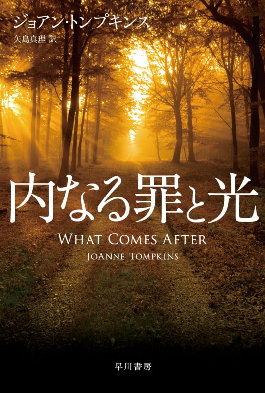 内なる罪と光 (ハヤカワ・ミステリ文庫)の詳細を見る