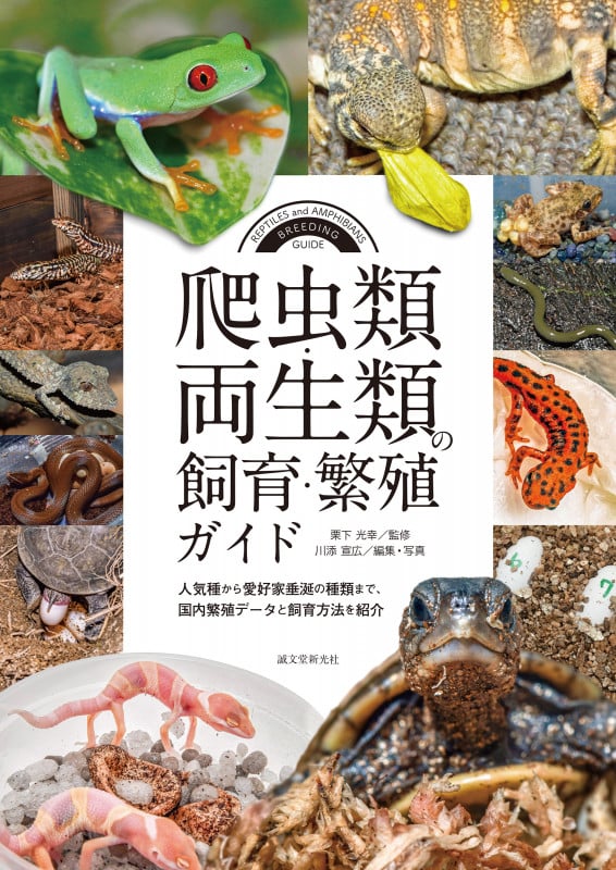 爬虫類・両生類の飼育・繁殖ガイド 人気種から愛好家垂涎の種類まで、国内繁殖データと飼育方法を紹介