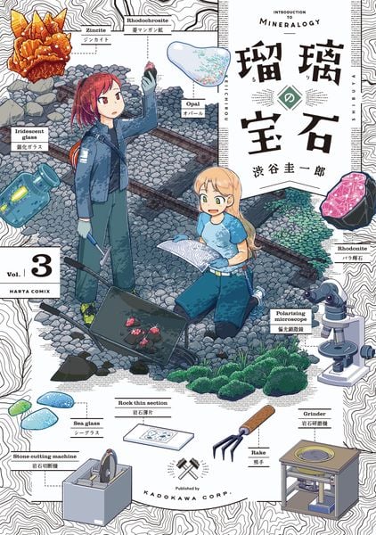瑠璃の宝石 3 (ハルタコミックス)の詳細を見る