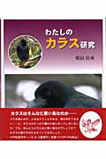 わたしのカラス研究 (やさしい科学)
