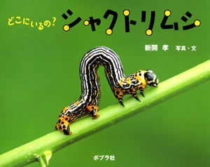 どこにいるの?シャクトリムシ (ふしぎいっぱい写真絵本 8)