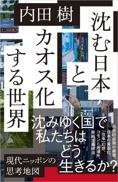 沈む日本とカオス化する世界 (SB新書)