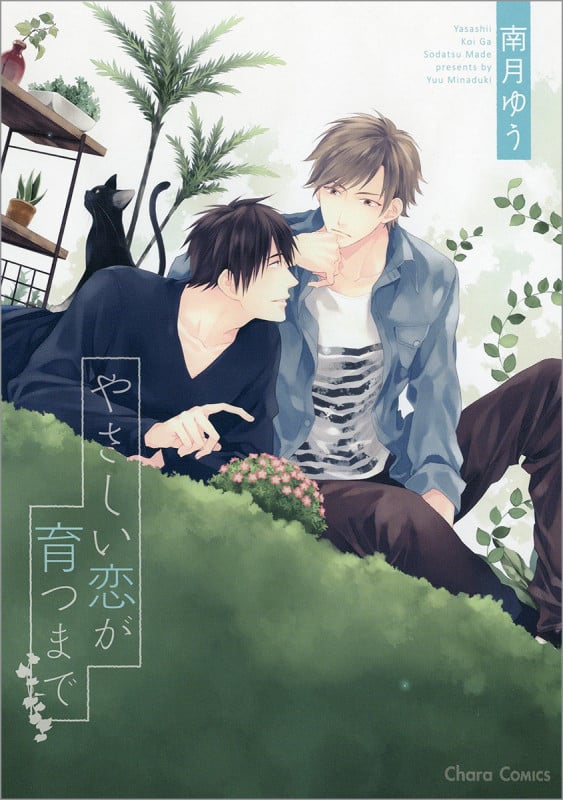 やさしい恋が育つまで (CHARA コミックス)