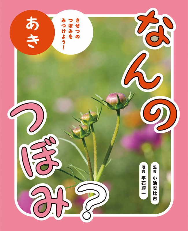 なんのつぼみ? あき (なんのつぼみ?)