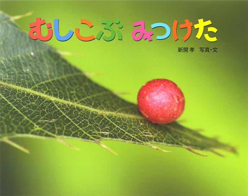 むしこぶ みつけた (ふしぎいっぱい写真絵本 30)