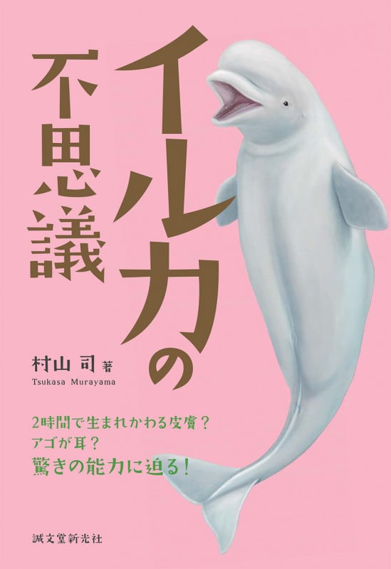 イルカの不思議 2時間で生まれかわる皮膚?アゴが耳?驚きの能力に迫る!