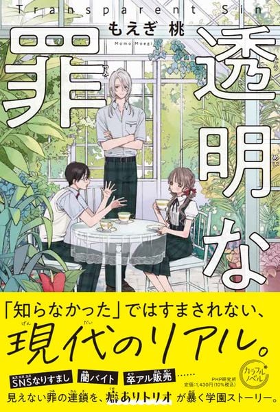 透明な罪 (カラフルノベル)