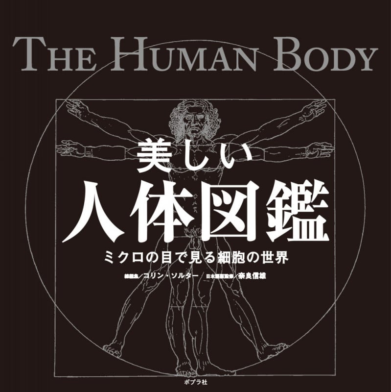 美しい人体図鑑 ミクロの目で見る細胞の世界 (一般書 973)