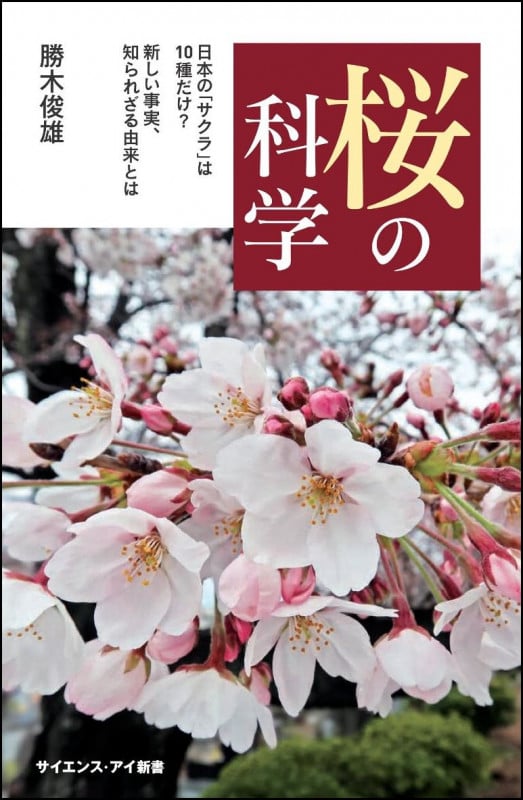 桜の科学 日本の「サクラ」は10種だけ? 新しい事実、知られざる由来とは (サイエンス・アイ新書)