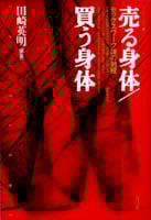 売る身体/買う身体  セックスワーク論の射程 (クリティーク叢書 15)