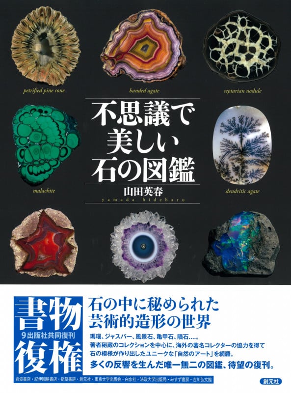 不思議で美しい石の図鑑