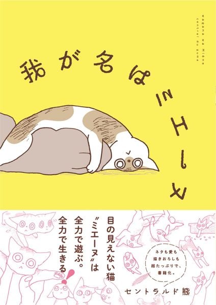 我が名はミエーヌ