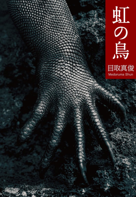 虹の鳥 新装版