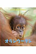 オランウータン (どうぶつの赤ちゃんとおかあさん)