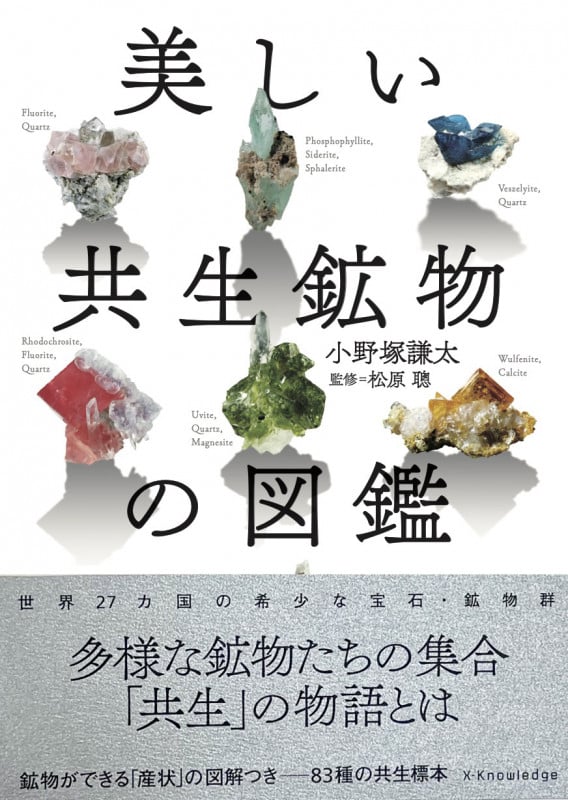 美しい共生鉱物の図鑑