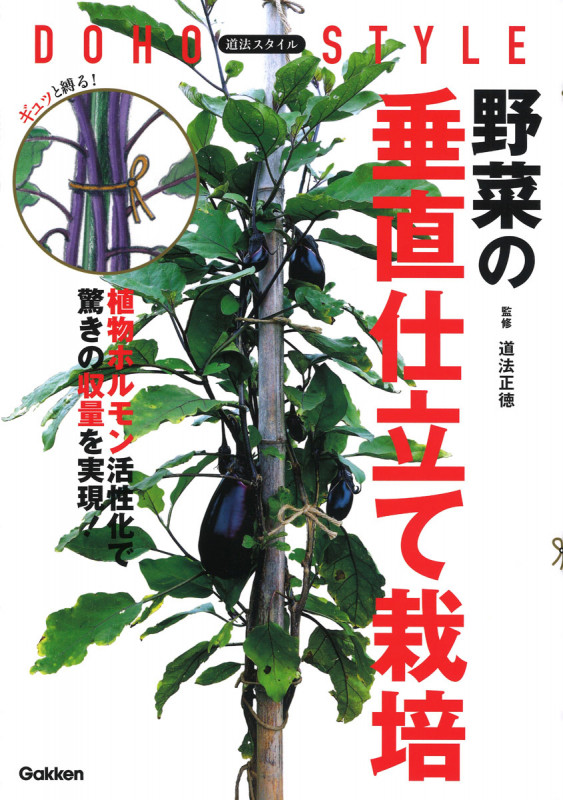 道法スタイル 野菜の垂直仕立て栽培の詳細を見る