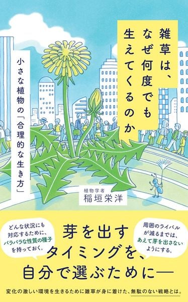 雑草は、なぜ何度でも生えてくるのか 小さな植物の「合理的な生き方」 (ポプラ新書 282)