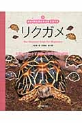 リクガメ 爬虫・両生類ビギナーズガイド