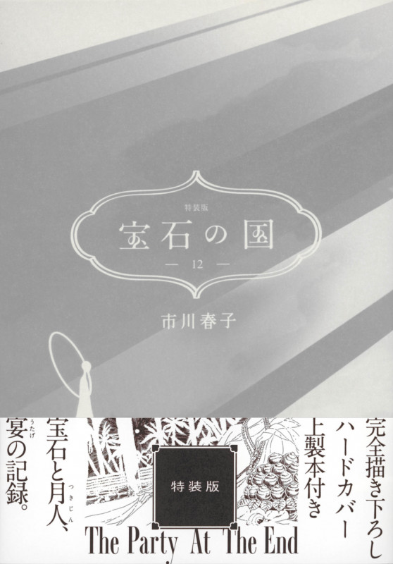 宝石の国(12)特装版 (講談社キャラクターズA)の詳細を見る