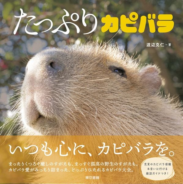 たっぷりカピバラ