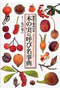散歩で見かける木の実の呼び名事典