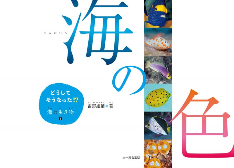 海の色 (どうしてそうなった!?海の生き物)