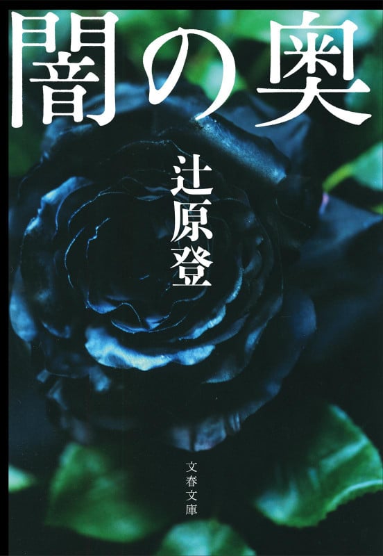 闇の奥 (文春文庫)