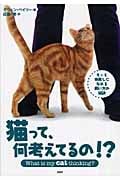 猫って、何を考えてるの!? もっと仲良しになれる飼い方の秘訣