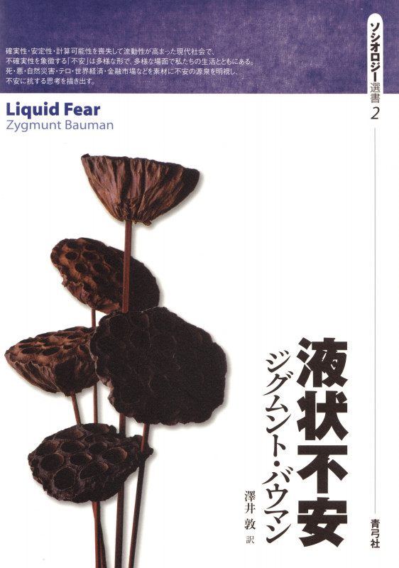 液状不安 (ソシオロジー選書 2)